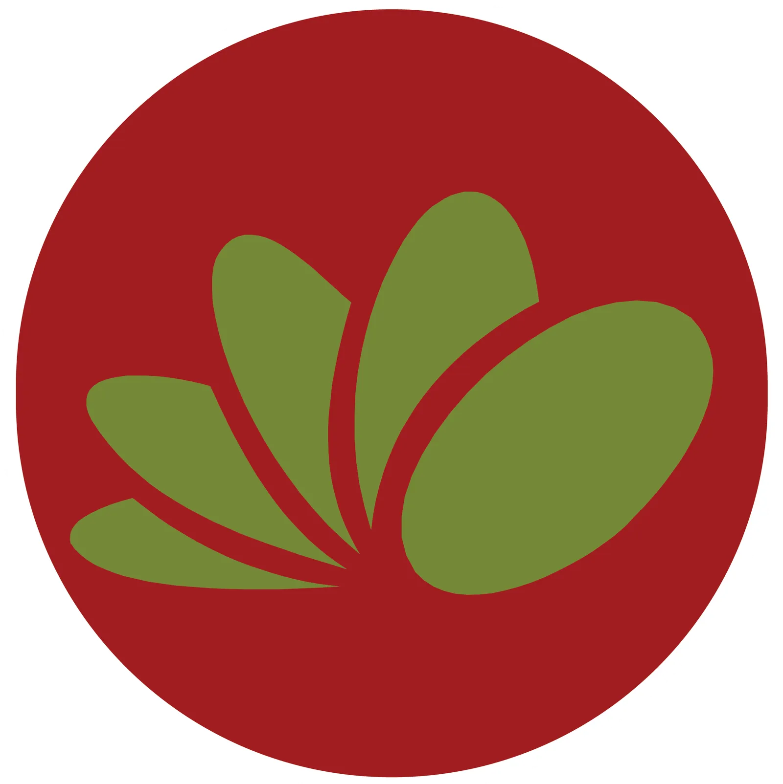 Fortune Credit