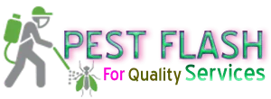 PEST FLASH