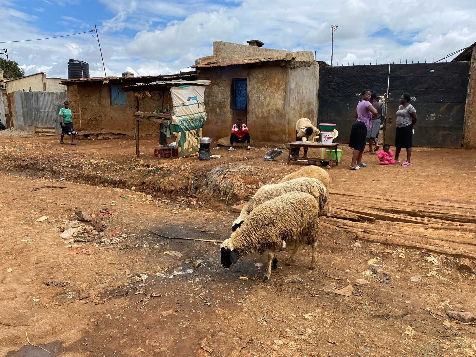 Go Kenya, go future!